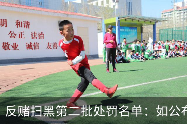反赌扫黑第二批处罚名单：如公布 应与准入同步